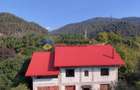 Casă individuală cu 5 camere cu Teren 1688 Mp în Pângărăcior - 3
