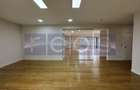 PRIMAVERII | APARTAMENT OFFICE SAU COMERCIAL |  207 MP UTILI | TERASA | - 9