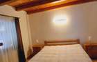 Vand cabana judetul Hunedoara - 6