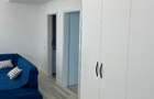 Apartament cu 2 camere decomandat în Parcul Carol - 15