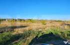 Teren 5000m2 Targoviste - ZONA INDUSTRIALA C.O.S. TGV - 2