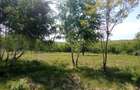 Teren intravilan de 900 mp, în Casele Micești - 4