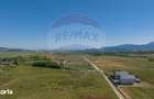 Teren Tohanu Nou, intrare Sohodol, 4800mp - 5