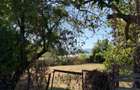 Inchiriez/vand teren strada ostroveni/bulevard dem radulescu - 8
