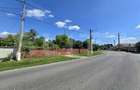 Casa batraneasca, 51 mp, curte 1.100 mp, orasul Titu - 7