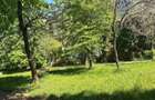 De vanzare - apartament 3 camere - Petre Dulfu - etaj 1 - 16