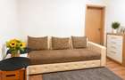 Apartament 2 camere la etajul 1 zona Tiglari - 5