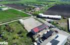 Hala, spatiu industrial de inchiriat Harman,Brasov - 3
