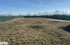 TEREN INTRAVILAN DE VANZARE SANPETRU- 1595 m2 - 4