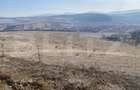 Teren extravilan in suprafata de 140551 mp in loc. Recea - 2