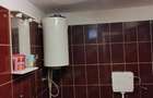 Casă cu 2 camere în Brestovăț - 5