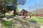 Casă individuală cu 2 camere cu Teren 1687 Mp în Ștefănești - 5