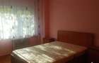 Apartament cu 3 camere in zona Dacia - 3