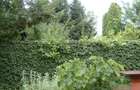 Casă individuală cu 4 camere cu Canalizare în Ferme - 7
