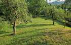 SUUPER OFERTA!!!Casa si teren Valea Tarsei,ideal pentru investitii !! - 8