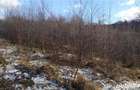 Vand teren Bran - Sohodol - 1