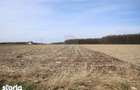 Teren 9,740mp Suceava / Strada Principala - 5