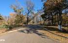Teren 19.470 mp, investitie ideala, Green City -1 Decembrie, Ilfov - 7