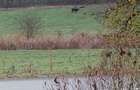 55000 mp teren imobil-comercial sau privat - 8