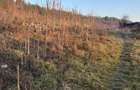 Teren intravilan 3.200 mp zona pitoreasca, Vitanesti, com. Tifesti 0743830591 - 1