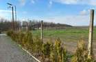 Teren intravilan in Valu - 3