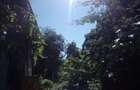 Casă cu 2 camere cu Teren 360 Mp în Timișoara - 10