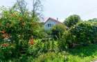 Casă individuală cu 6 camere cu Teren 6082 Mp în Podele - 37