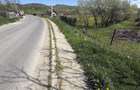 Teren 2000mp Strada 22 Decembrie Moinesti (vasiesti) - 1