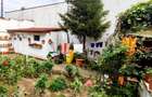 Casa de vanzare Tomis I | 3 camere | Garaj | Teren 325 mp - 8
