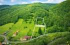 Teren la poalele padurii,Buzaiel,Vama Buzaului,DJ,constructie +utilita - 4
