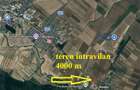 Alexeni teren intravilan 4000 mp - 1