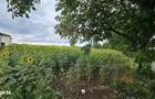 Teren intravilan 2600 mp de vanzare, Ipotesti- Lisaura, Suceava