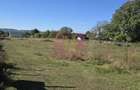 Teren intravilan 3.750 mp de vanzare in Campina