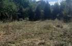 Vand teren intravilan - 4