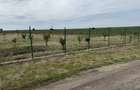 Parcele 1009/1500/2000/2500 mp intravilan zona Peugeot-Ciromat - 2