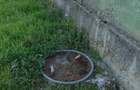 De vanzare teren intravilan Fadimac, comuna Balin? - 6