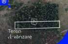 Teren situat in Frasin | BUCOVINA - 1