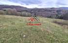 Teren extravilan Valea Doftanei 20.500 mp 6e mp - 5