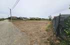 Spațiu comercial, în Nufărul - 13