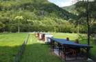 Teren superb cu bungalouri (casute) montane Satic - 5