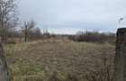 Casă cu 3 camere cu Teren 7900 Mp în Ciumeghiu - 10