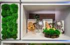 Spațiu comercial, de 310 mp, în Semicentral - 6
