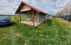 Teren extravilan in Baicoi 10.000mp plantatie mure --80.000e - 18