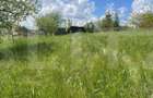 Investitie ! Teren intravilan,494 mp, front 14 m,cart Dambu - 7