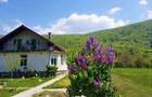 Pensiune de inchiriat -Vila di Pau- - 6