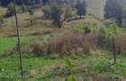 Casa de vanzare + teren in sat poieni , comuna densus , judet HD - 7