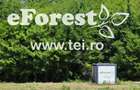 eForest teren rezidential in zona de padure, deschidere spre padure - 4