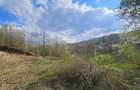 BREBU intravilan 1800 mp, deschidere 29 ml, doar 16.900 - 18