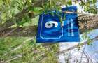 Teren de vanzare in Dealul Mare,localitatea Galicea - 6