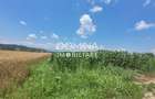 Vânzare teren intravilan, 3504 mp, sat Ceauru, comuna Bălești - 4